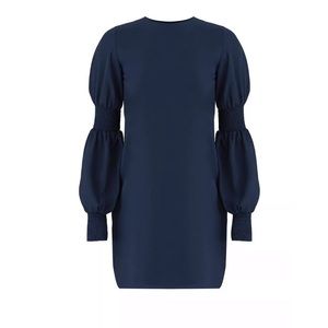 Cooper Street- Blue Smocked Trim Sheath Dress 8